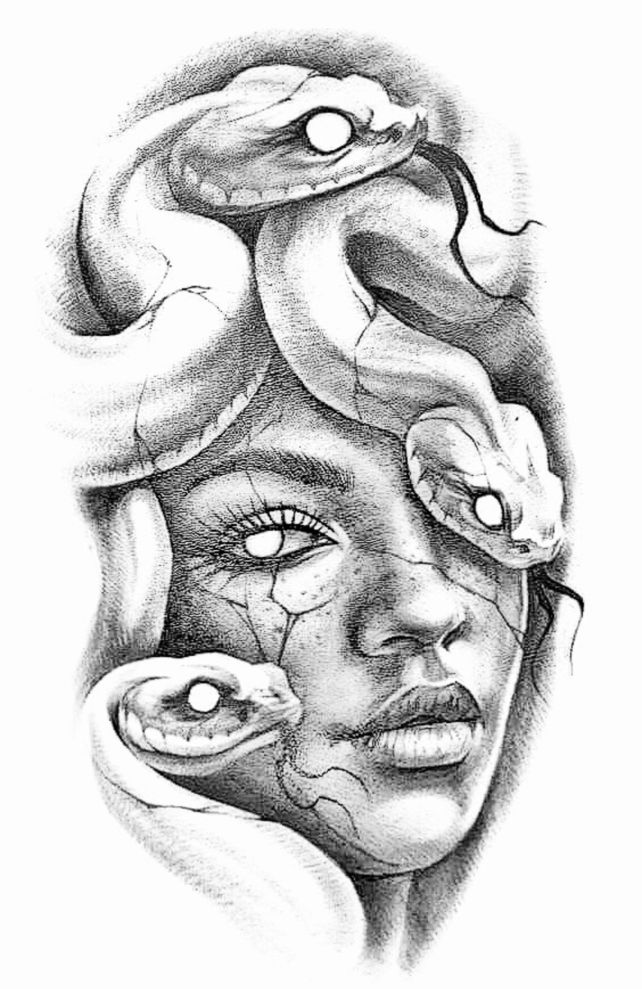 a powerful medusa with snakes as hair and a cracked skin texture on her face